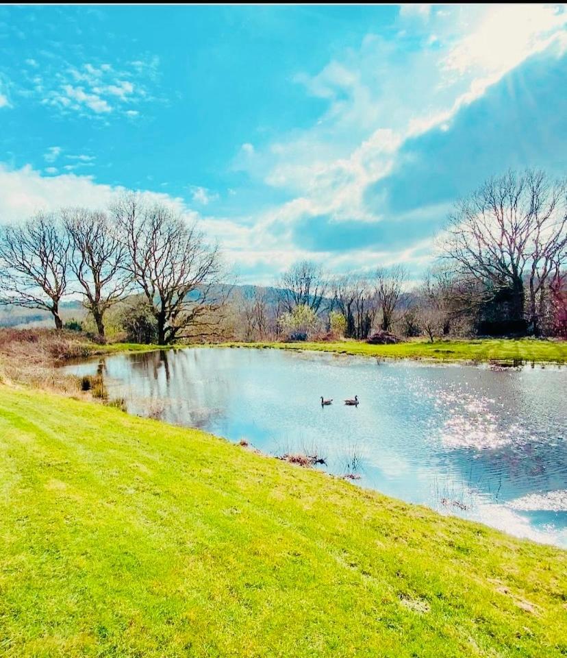 The Farmhouse Swansea Dış mekan fotoğraf